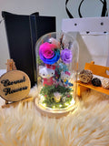 Premium Hello Kitty Preserved Flower Dome With Rainbow Roses And Same Day Delivery