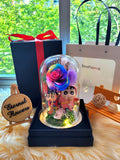 Premium Preserved Flower Dome With Rainbow Roses & 2 Crayon Shin-Chan Figurines