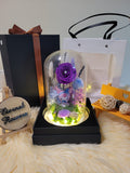 Kuromi Preserved Flower Dome With Purple Roses And Same Day Delivery