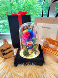 Doraemon Preserved Flower Dome With Rainbow Roses And Same Day Delivery