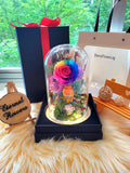 Premium Popmart Garfield Preserved Flower Dome With Rainbow Roses And Same Day Delivery