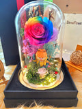 Premium Popmart Garfield Preserved Flower Dome With Rainbow Roses And Same Day Delivery