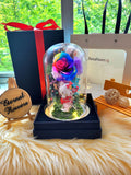 Hello Kitty Preserved Flower Dome With Rainbow Roses And Same Day Delivery