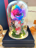 Hello Kitty Preserved Flower Dome With Rainbow Roses And Same Day Delivery