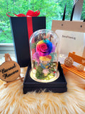 Hello Kitty Preserved Flower Dome With Rainbow Roses And Same Day Delivery