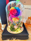 Hello Kitty Preserved Flower Dome With Rainbow Roses And Same Day Delivery