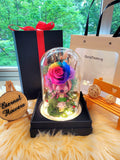 Premium Popmart Stitch Preserved Flower Dome With Rainbow Roses And Same Day Delivery