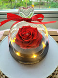 Petite Red Color Rose LED Preserved Flowers Dome. 100% High Quality Real Flowers.