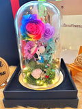 Snoopy Preserved Flower Dome With Rainbow Roses And Same Day Delivery