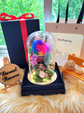 Princess Snow White Preserved Flower Dome With Rainbow Roses And Same Day Delivery