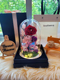 Special Edition Kuromi Preserved Flower Dome With Red Roses And Same Day Delivery