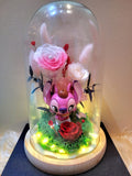 Premium Miniso/Popmart Stitch Preserved Flower Dome With Pink Roses And Same Day Delivery