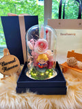 Supergirl Figurine Preserved Flower Dome With Pink Roses And Same Day Delivery