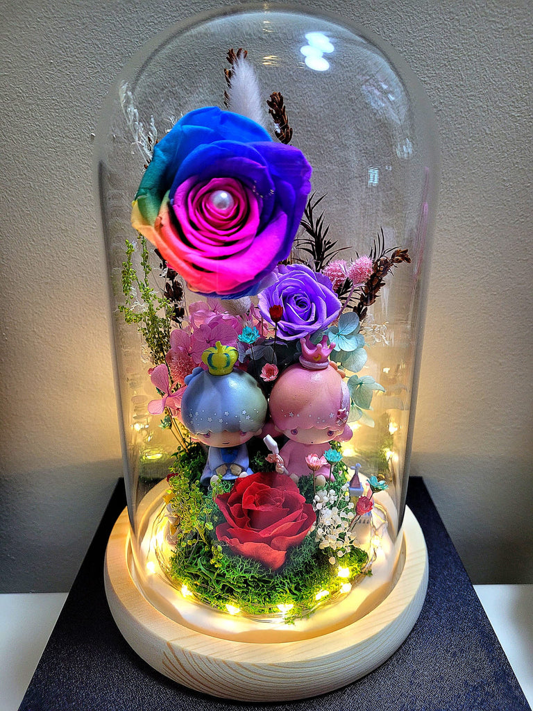 Twin Stars Preserved Flower Dome With Rainbow Roses And Same Day Delivery