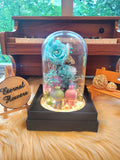 Twin Stars Preserved Flower Dome With Tiffany Roses And Same Day Delivery