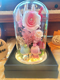 Twin Stars Preserved Flower Dome With Pink Roses And Same Day Delivery