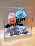 Premium Authentic Twinkle Twinkle Plush & Preserved Flowers In Acrylic Box