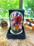 Princess Belle Preserved Flower Dome With Red Roses And Same Day Delivery