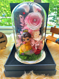 Princess Belle Preserved Flower Dome With Pink Roses And Same Day Delivery