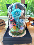Princess Snow White Preserved Flower Dome With Tiffany Roses And Same Day Delivery