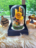 Princess Snow White Preserved Flower Dome With Yellow Roses And Same Day Delivery