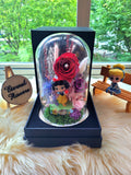 Princess Snow White Preserved Flower Dome With Red Roses And Same Day Delivery