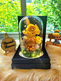 Winnie The Pooh Preserved Flower Dome With Yellow Roses And Same Day Delivery
