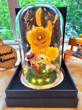 Snoopy Preserved Flower Dome With Yellow Roses And Same Day Delivery
