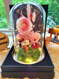 Snoopy Preserved Flower Dome With Pink Roses And Same Day Delivery