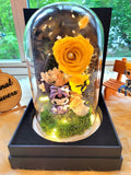 Kuromi Preserved Flower Dome With Yellow Roses And Same Day Delivery