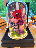 Kuromi Preserved Flower Dome With Red Roses And Same Day Delivery
