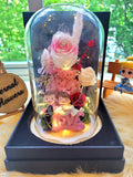 Eternal Couple V1 Preserved Flower Dome With Pink Roses And Same Day Delivery