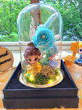 Princess Belle v2 Preserved Flower Dome With Tiffany Roses And Same Day Delivery