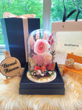 Super Mario Preserved Flower Dome With Pink Roses And Same Day Delivery