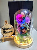 Eternal Couple V2 Preserved Flower Dome With Rainbow Roses And Same Day Delivery