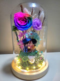 Eternal Couple V2 Preserved Flower Dome With Rainbow Roses And Same Day Delivery