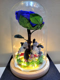 OFFER! 4 Pochacho In A Deluxe Series Preserved Flower Dome With Same Day Delivery