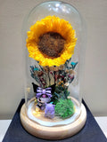 Kuromi Preserved Sunflower Dome. Same Day Delivery.
