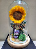Kuromi Preserved Sunflower Dome. Same Day Delivery.