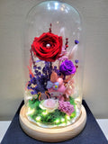 My Melody Preserved Flower Dome With Red Roses And Same Day Delivery