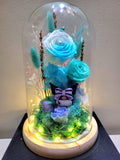 Kuromi Preserved Flower Dome With Multi-Blue Roses And Same Day Delivery