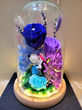 Snoopy Preserved Flower Dome With Dark Blue Roses And Same Day Delivery