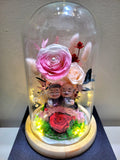 Eternal Couple V4 Preserved Flower Dome With Pink Roses And Same Day Delivery