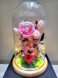 Eternal Couple V1 Preserved Flower Dome With Pink Roses And Same Day Delivery