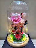 Eternal Couple V2 Preserved Flower Dome With Pink Roses And Same Day Delivery
