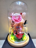 My Melody Preserved Flower Dome With Pink Roses And Same Day Delivery
