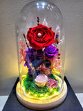 Eternal Couple V2 Preserved Flower Dome With Red Roses And Same Day Delivery