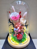 My Melody Preserved Flower Dome With Pink Roses And Same Day Delivery