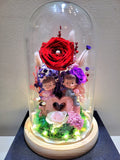 Eternal Couple V1 Preserved Flower Dome With Red Roses And Same Day Delivery