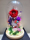 Hello Kitty Preserved Flower Dome With Red Roses And Same Day Delivery